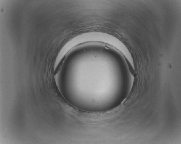 X0000074330037200609152108