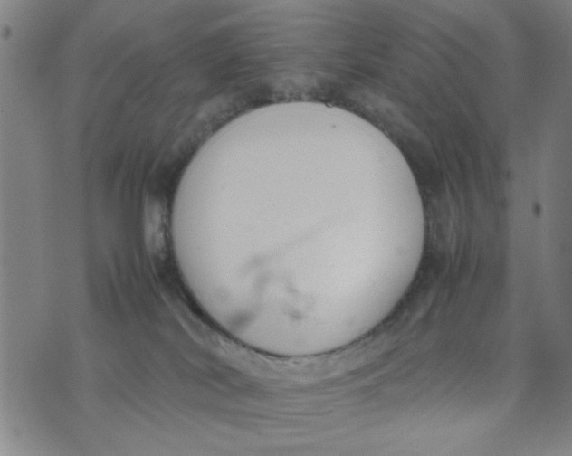 X0000074330038200609152108