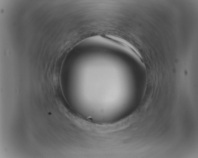 X0000074330039200609152108