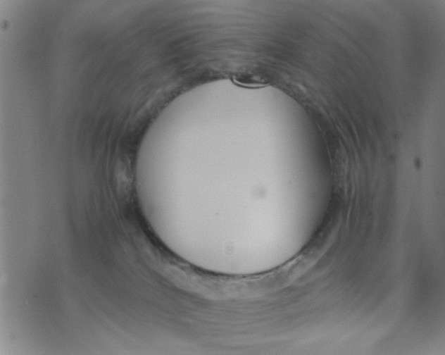 X0000074330040200609152108