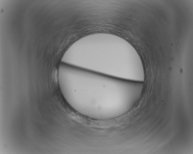 X0000074330041200609152108