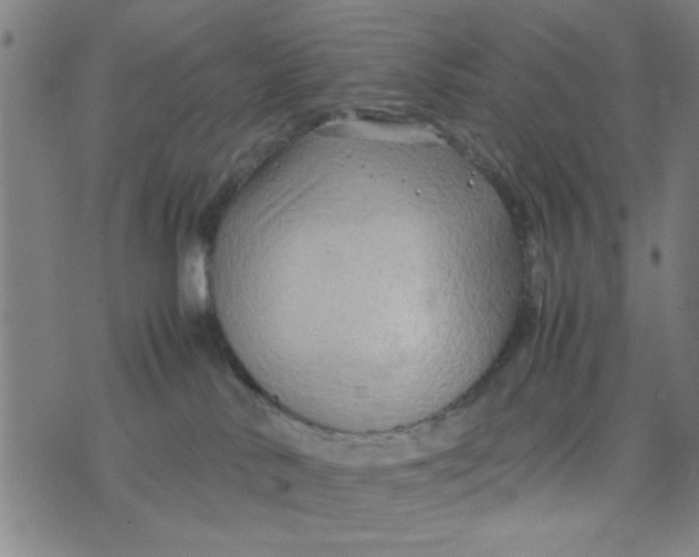 X0000074330042200609152108