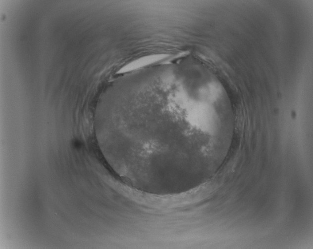 X0000074330043200609152108