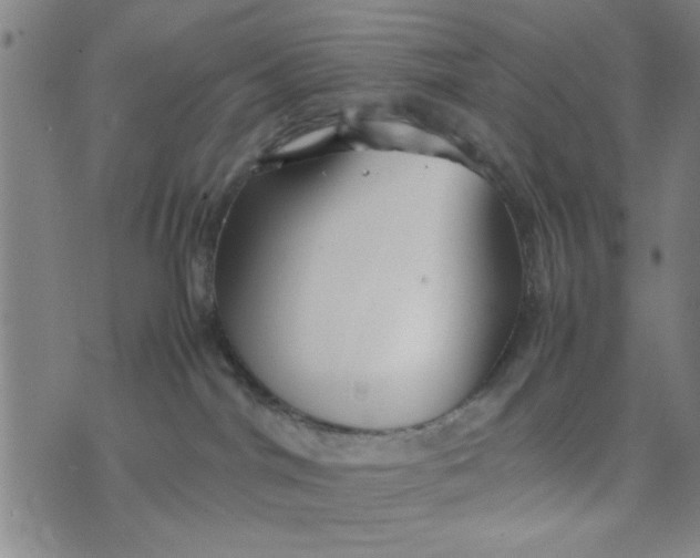 X0000074330044200609152108