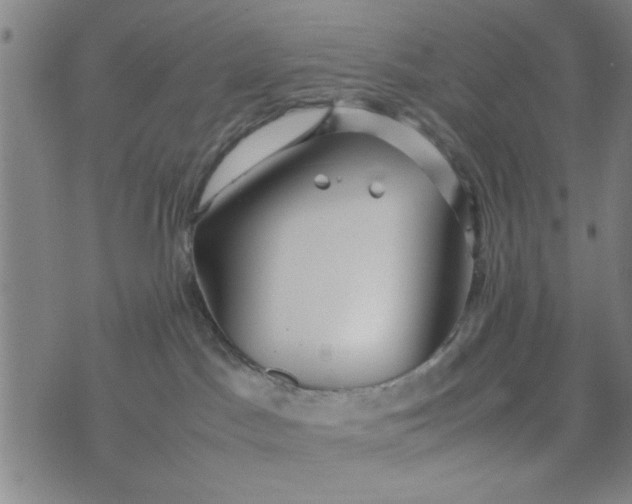 X0000074330045200609152108