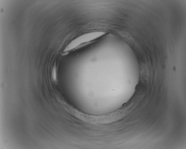 X0000074330046200609152108