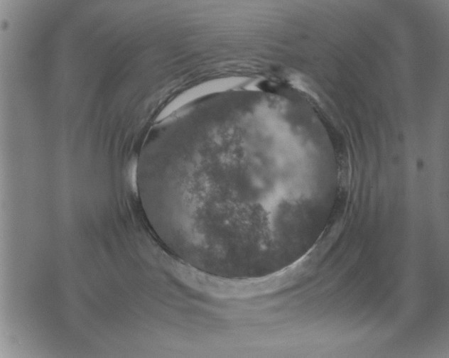 X0000074330047200609152108