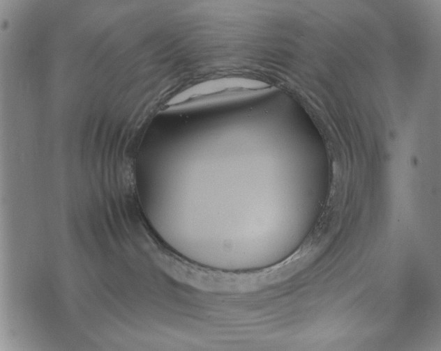 X0000074330048200609152108