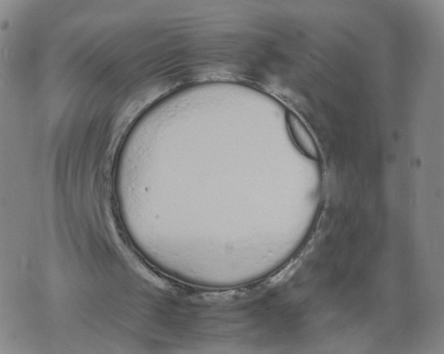 X0000074330049200609152107