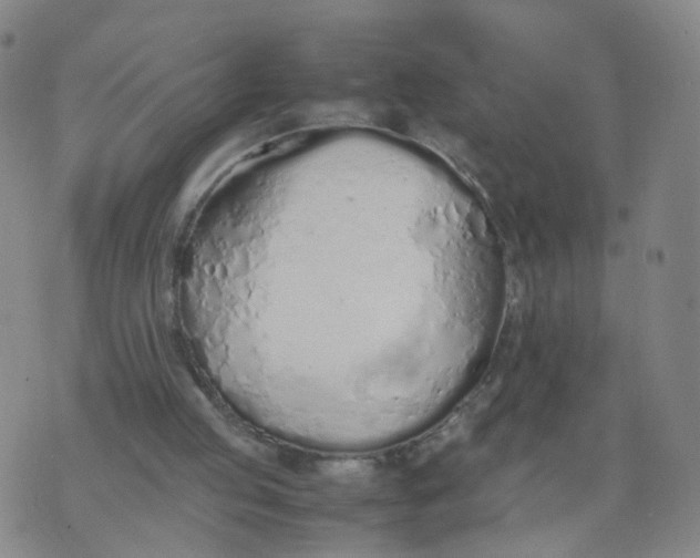 X0000074330053200609152107