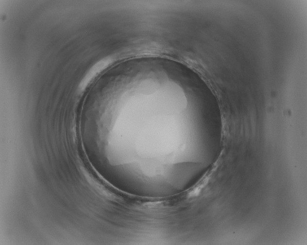 X0000074330054200609152107