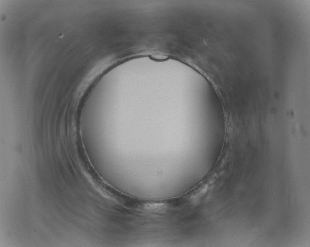 X0000074330055200609152107