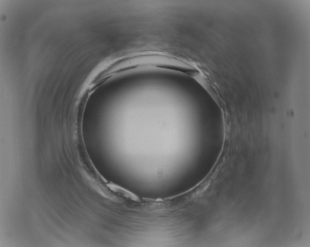 X0000074330056200609152107