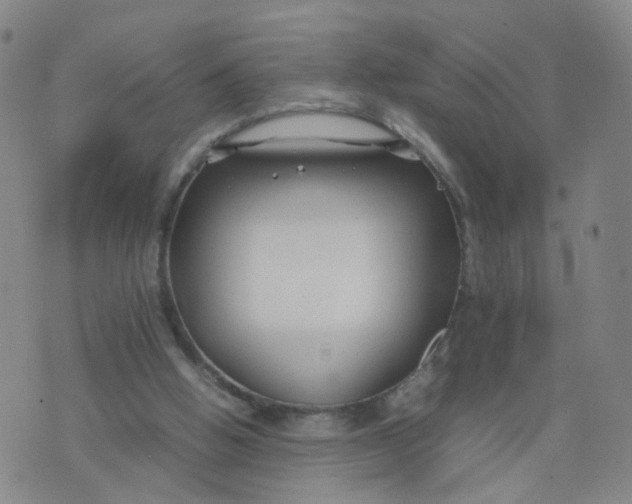 X0000074330058200609152107