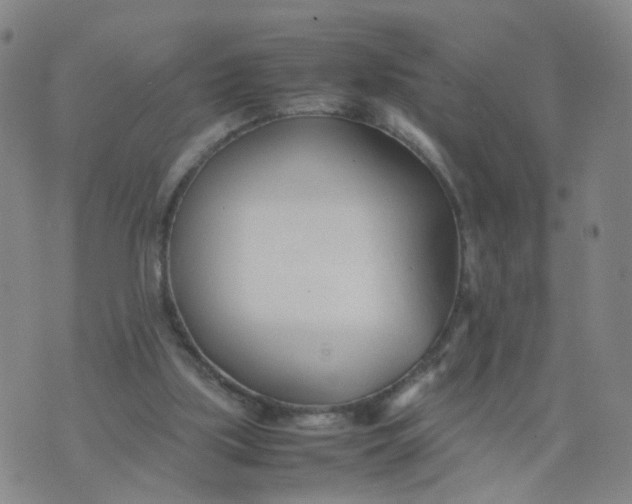 X0000074330059200609152107