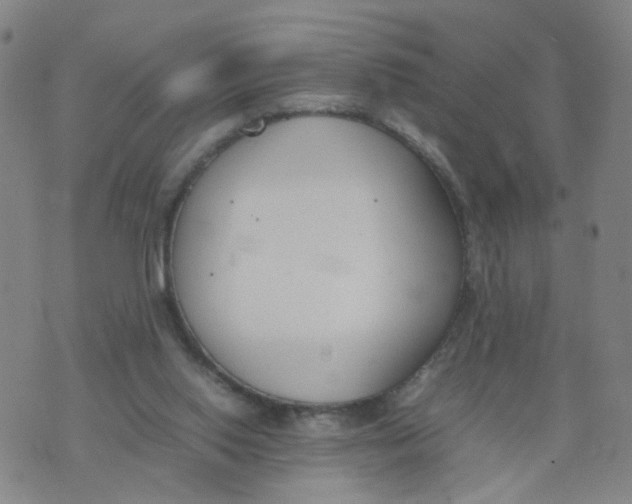 X0000074330062200609152107