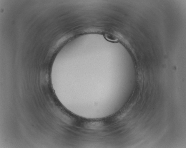 X0000074330063200609152107