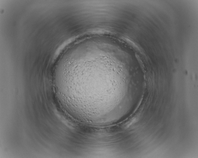 X0000074330064200609152107