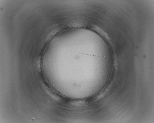 X0000074330065200609152107