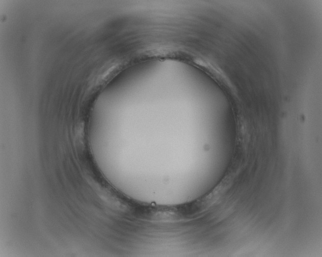 X0000074330066200609152107