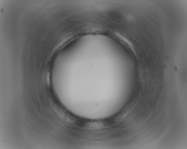 X0000074330067200609152107