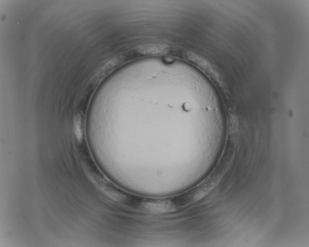 X0000074330069200609152107