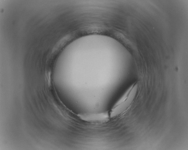 X0000074330070200609152107