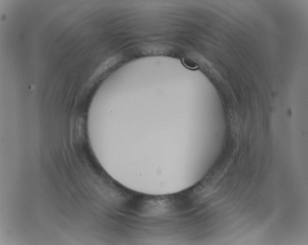 X0000074330071200609152107