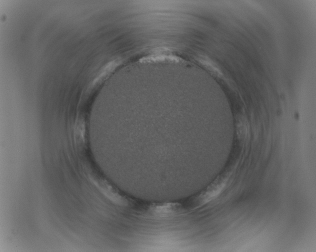 X0000074330072200609152107