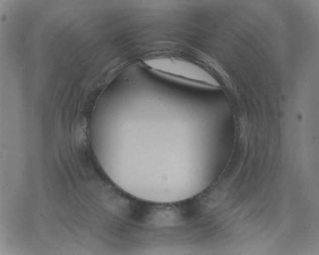 X0000074330073200609152107