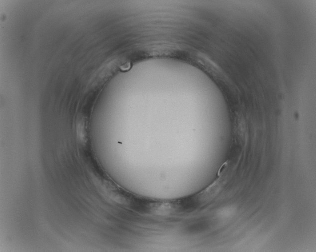 X0000074330074200609152107