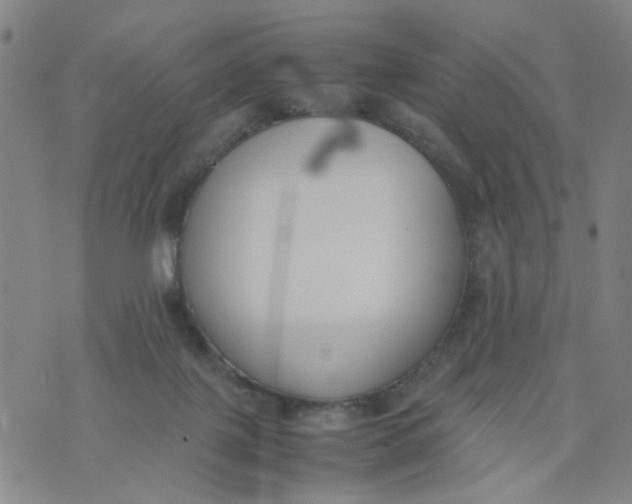 X0000074330075200609152107