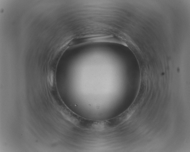 X0000074330076200609152107