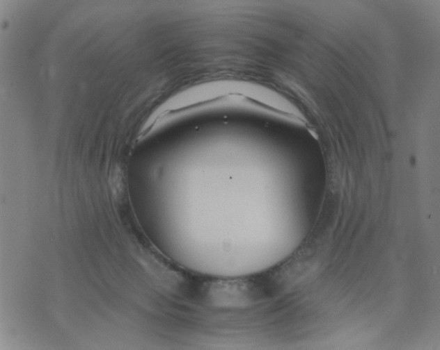 X0000074330077200609152107