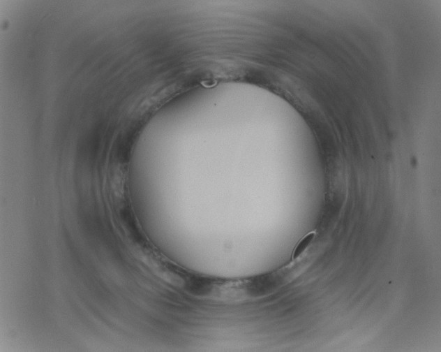 X0000074330078200609152107