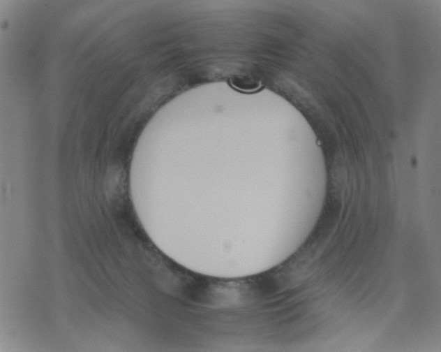 X0000074330079200609152107