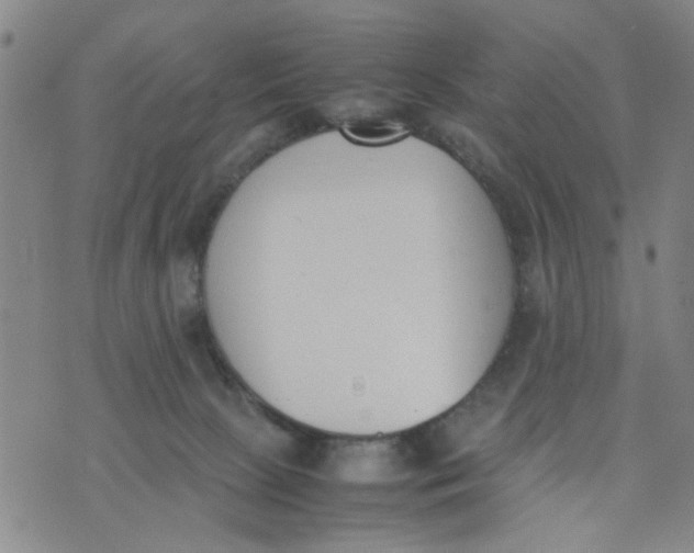 X0000074330081200609152107