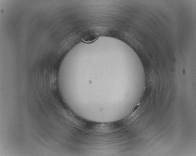 X0000074330082200609152107