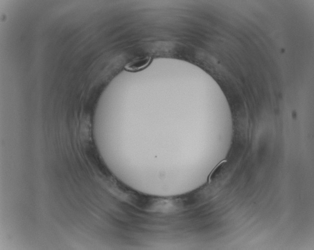 X0000074330083200609152107