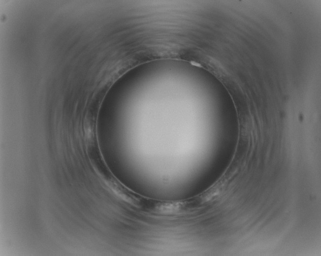 X0000074330084200609152107