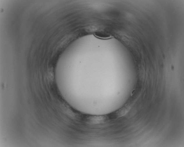 X0000074330085200609152107