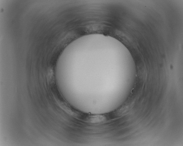 X0000074330087200609152108