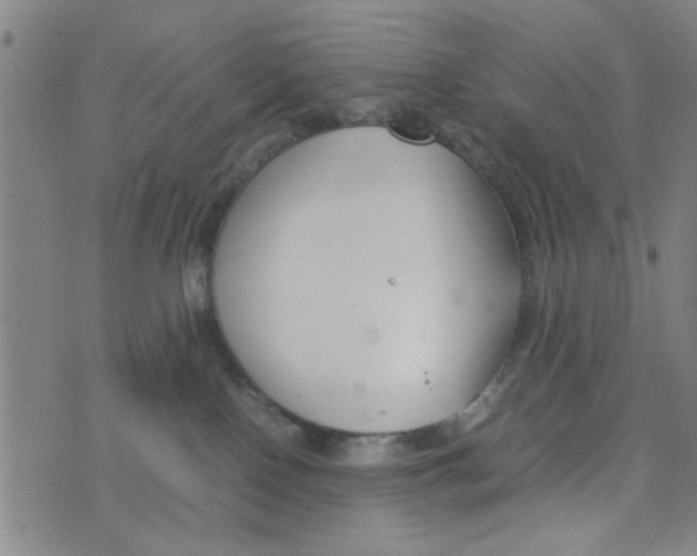 X0000074330090200609152108