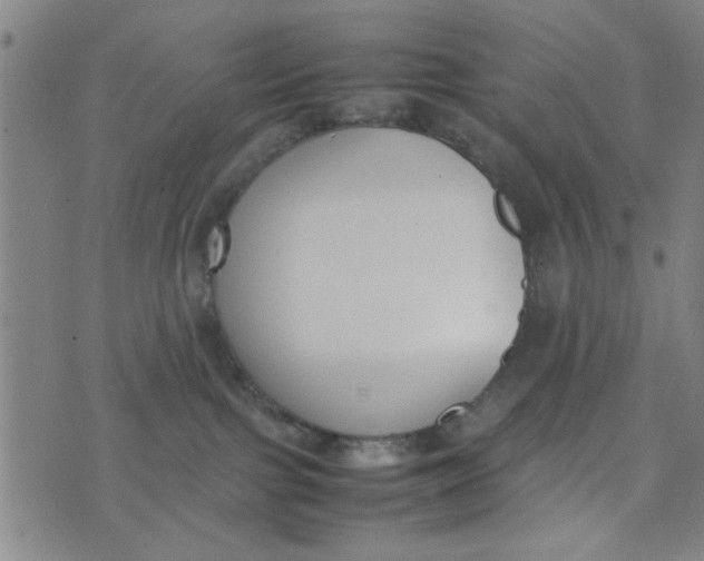 X0000074330091200609152108