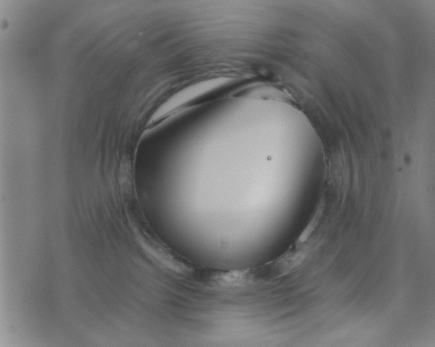 X0000074330092200609152108