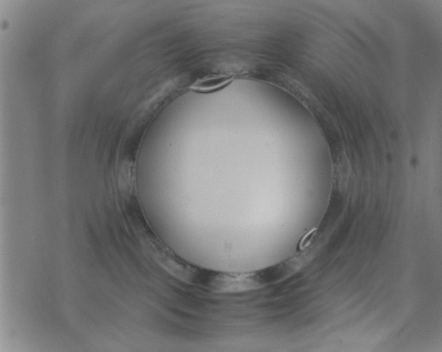 X0000074330093200609152108