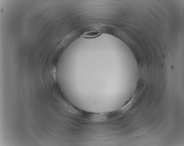 X0000074330094200609152108