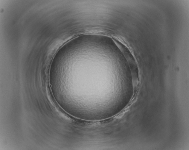 X0000074330097200609152107