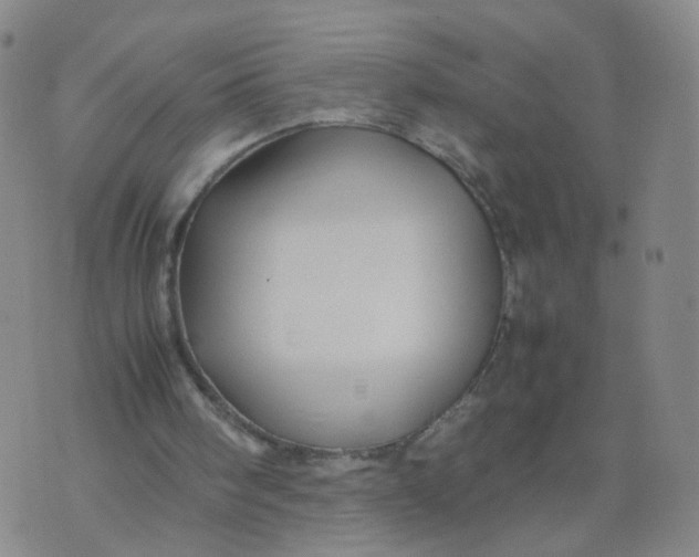 X0000074330098200609152107