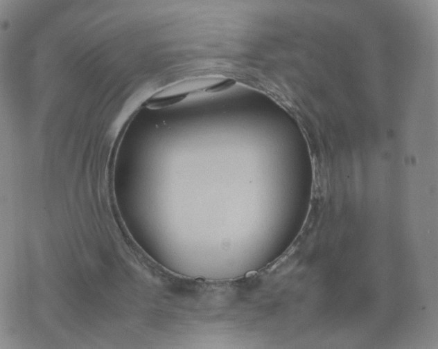 X0000074330099200609152107